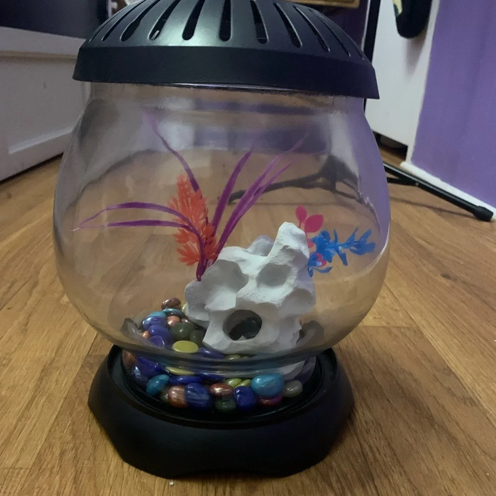 Small fish tank